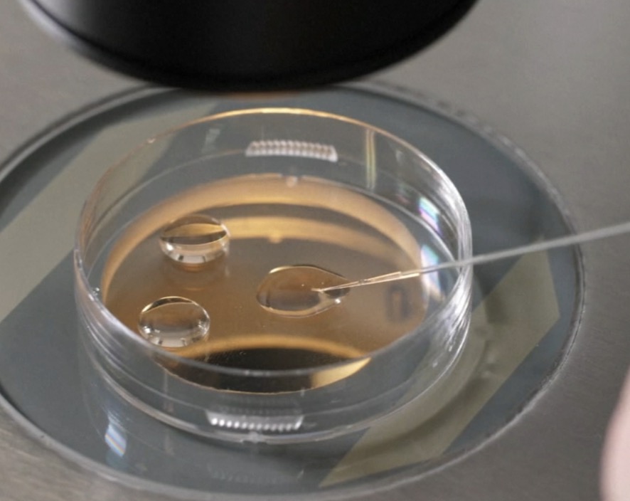 Alabama just ruled that frozen, unimplanted embryos are people. This petri dish is now more protected under law by Republicans than Alabama schoolchildren.