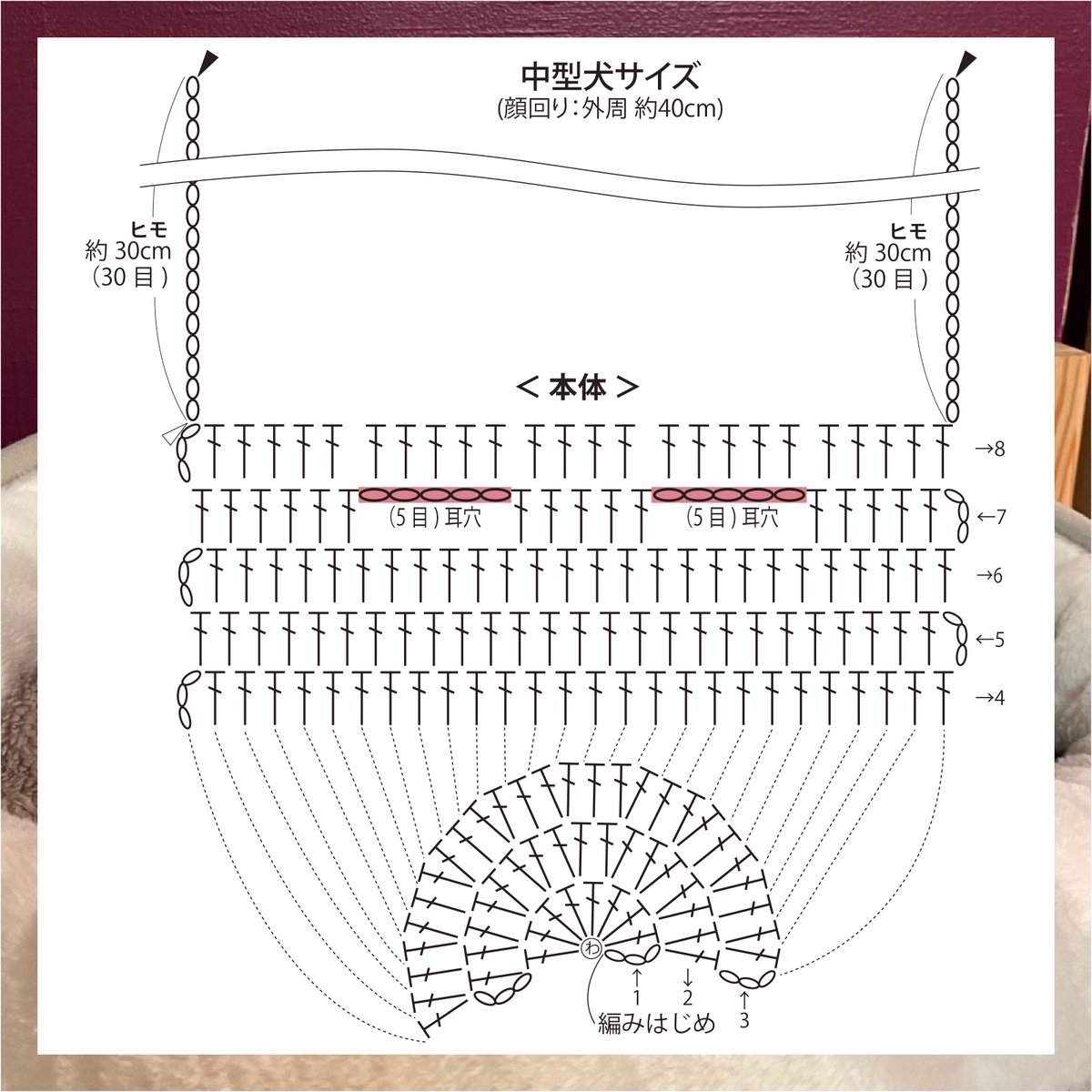 今日は猫の日🧶🐈

ミケファー、ルビーエコファーで編む
アニマル帽子の編み図は無料公開中です…！

わんちゃん・ネコチャンも
ふわふわで温かいアニマル帽子が大好き♡

編み物で猫の日を楽しみましょう⛄️

skiyarn-mstores.com

#猫の日 #ネコの日 #にゃんにゃんにゃんの日