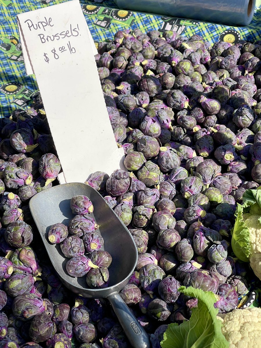 This mornings Santa Monica Farmers Market. Beautiful day in the neighborhood. 🍅🥑🍎🥒🌶️🫐🍓🌴🍄 #SantaMonica #Food #foodphotography #Foodie