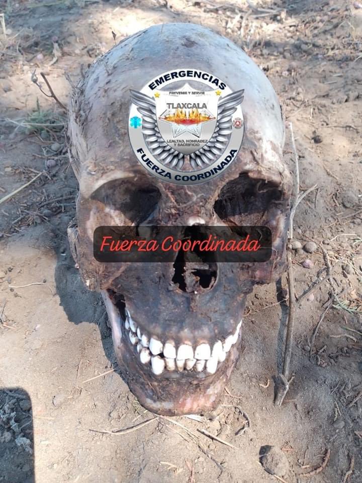 HuamantlaH's tweet photo. En Atotonilco municipio de Ixtacuixtla localizan craneo humano https://t.co/dwj1e7wbqn