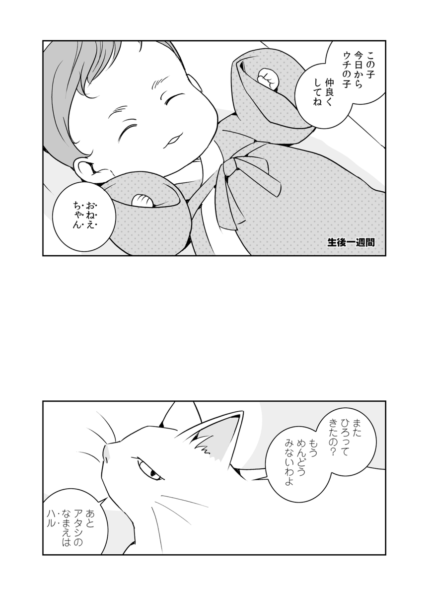 #猫の日 と聞いたので(2年ぶり3度目) いや、最近はどちらかといえば、犬寄りのマンガを描いているんですが…(2/4)