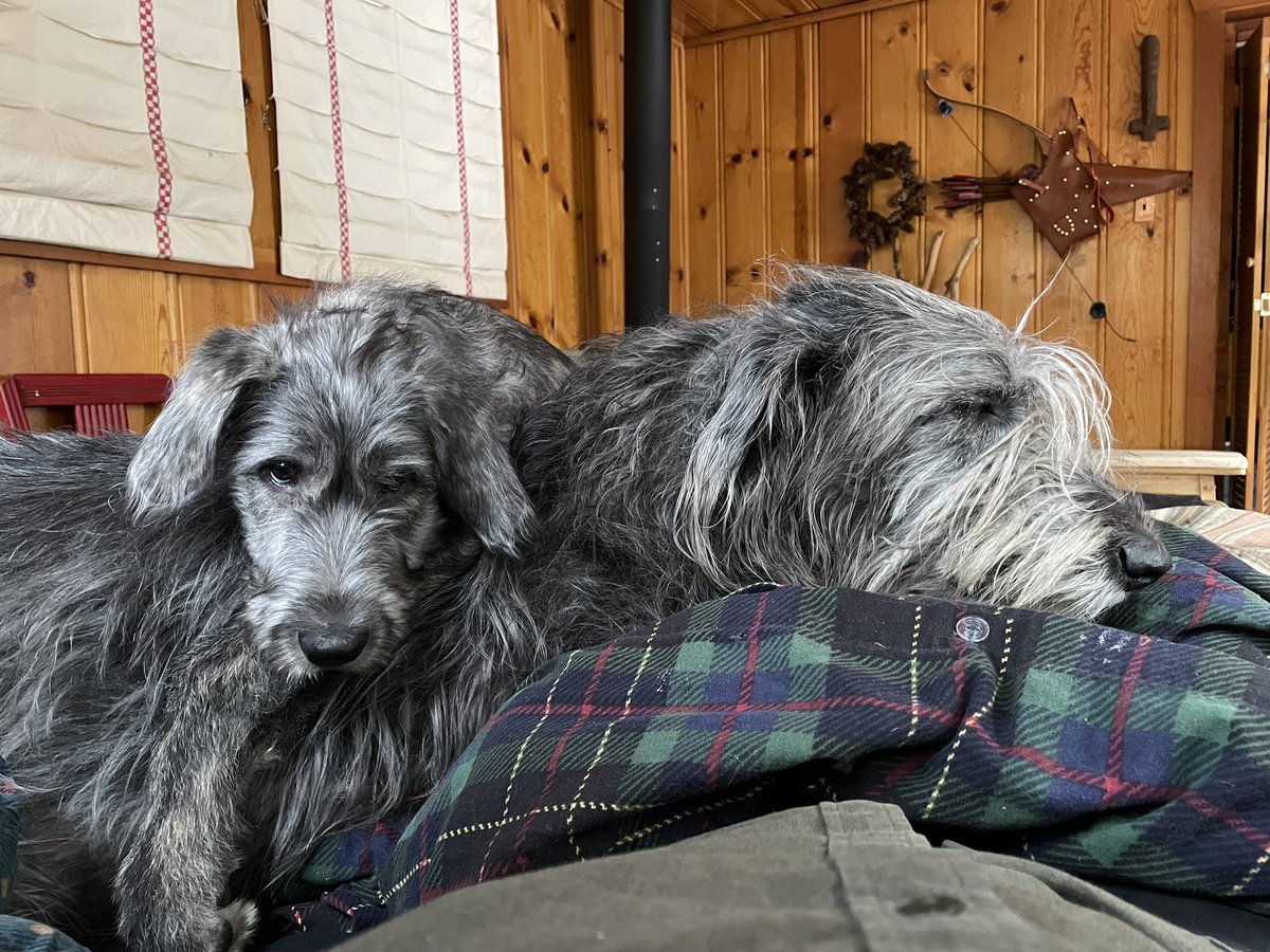 *sigh* why is this weird little rock collector dude laying on top of me
—merlin