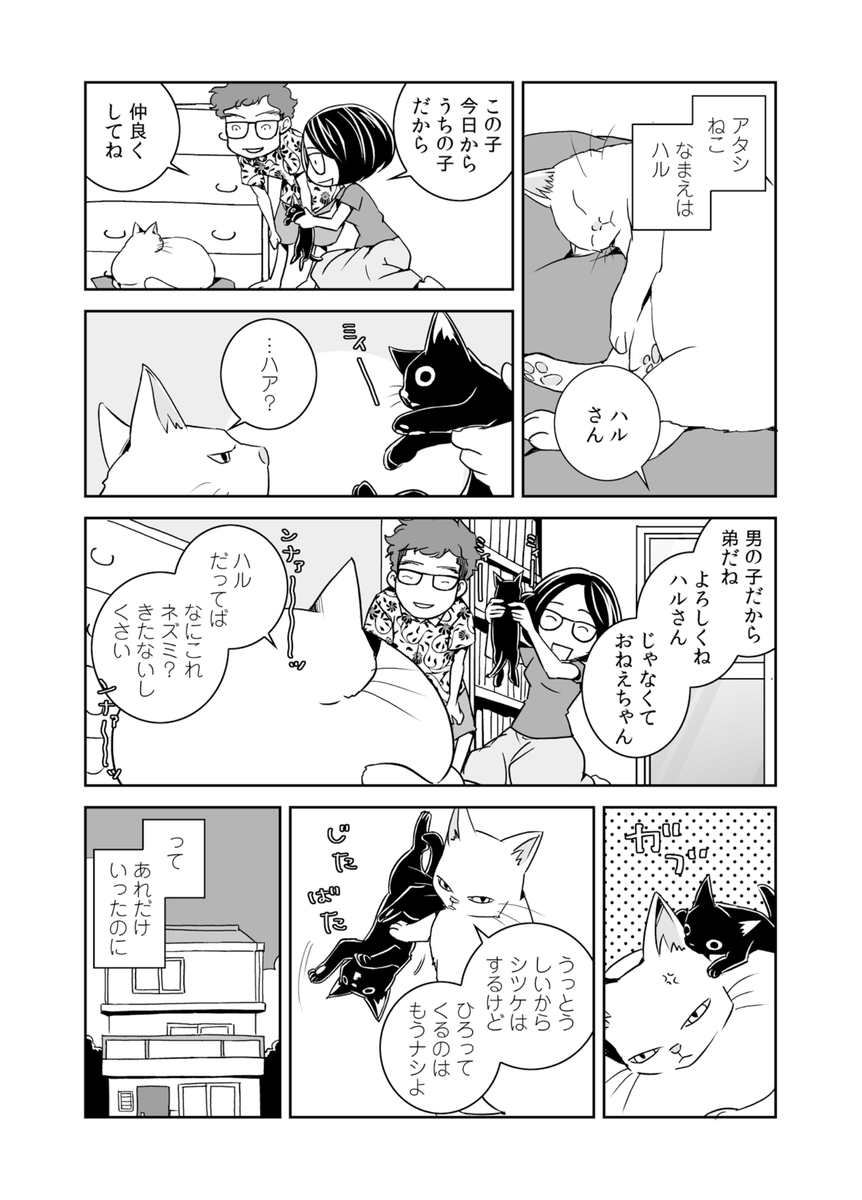 #猫の日 と聞いたので(2年ぶり3度目)
いや、最近はどちらかといえば、犬寄りのマンガを描いているんですが…(1/4) 