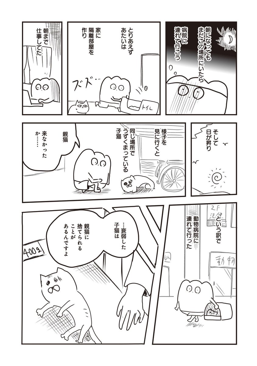 死にかけの子猫を拾った話(2/3) 