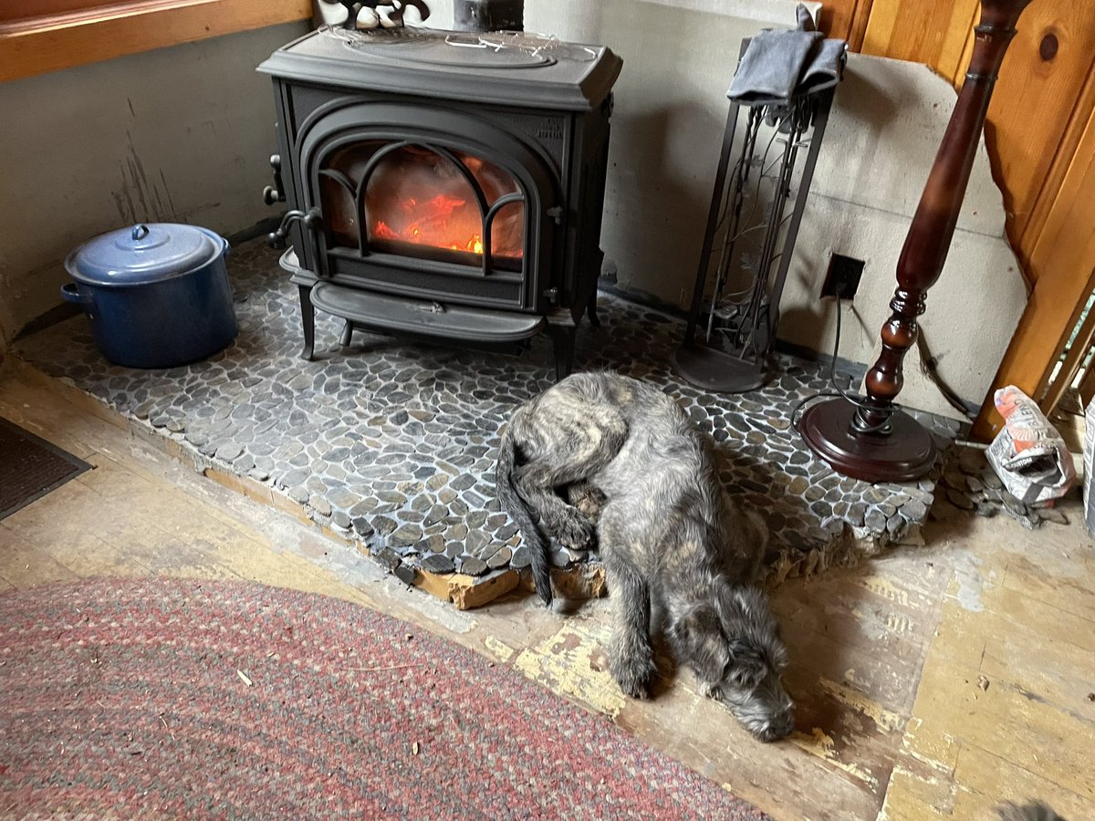 I am told that I am currently in the way of the rock wall construction for our new hearth, but this is the warmest spot, so I’m very sorry but unfortunately for you, it’s my spot.
—crowley