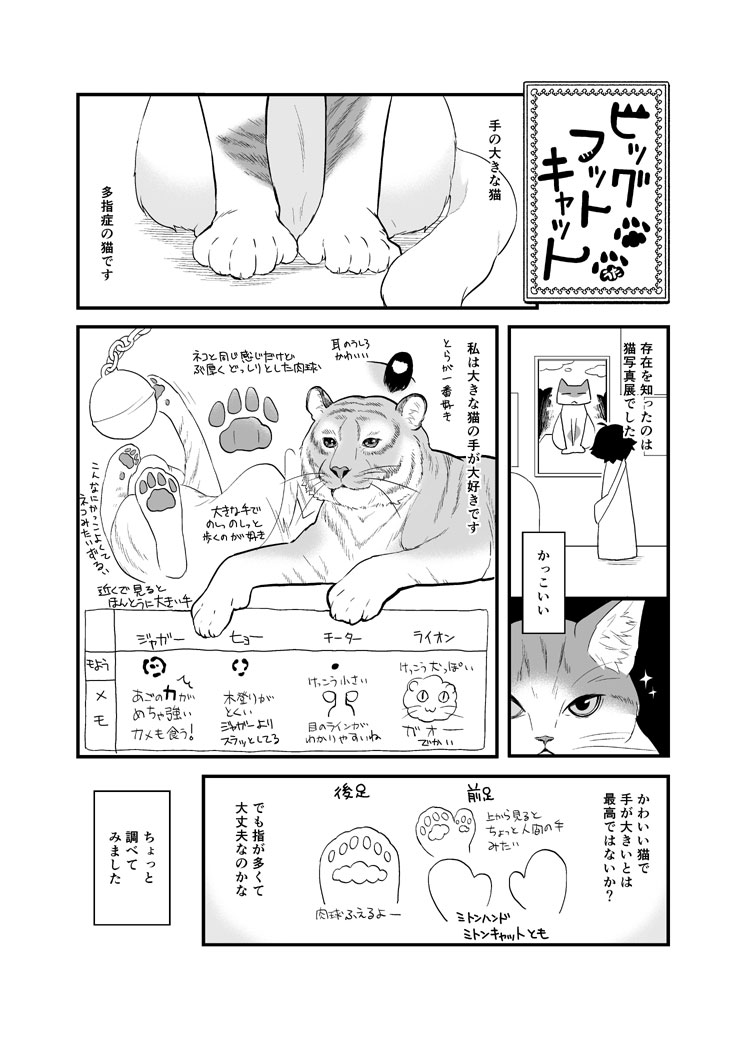 #猫の日 
せっかくなので… 