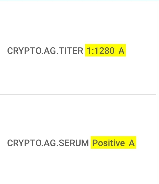 Gabe 🦊 tweet media