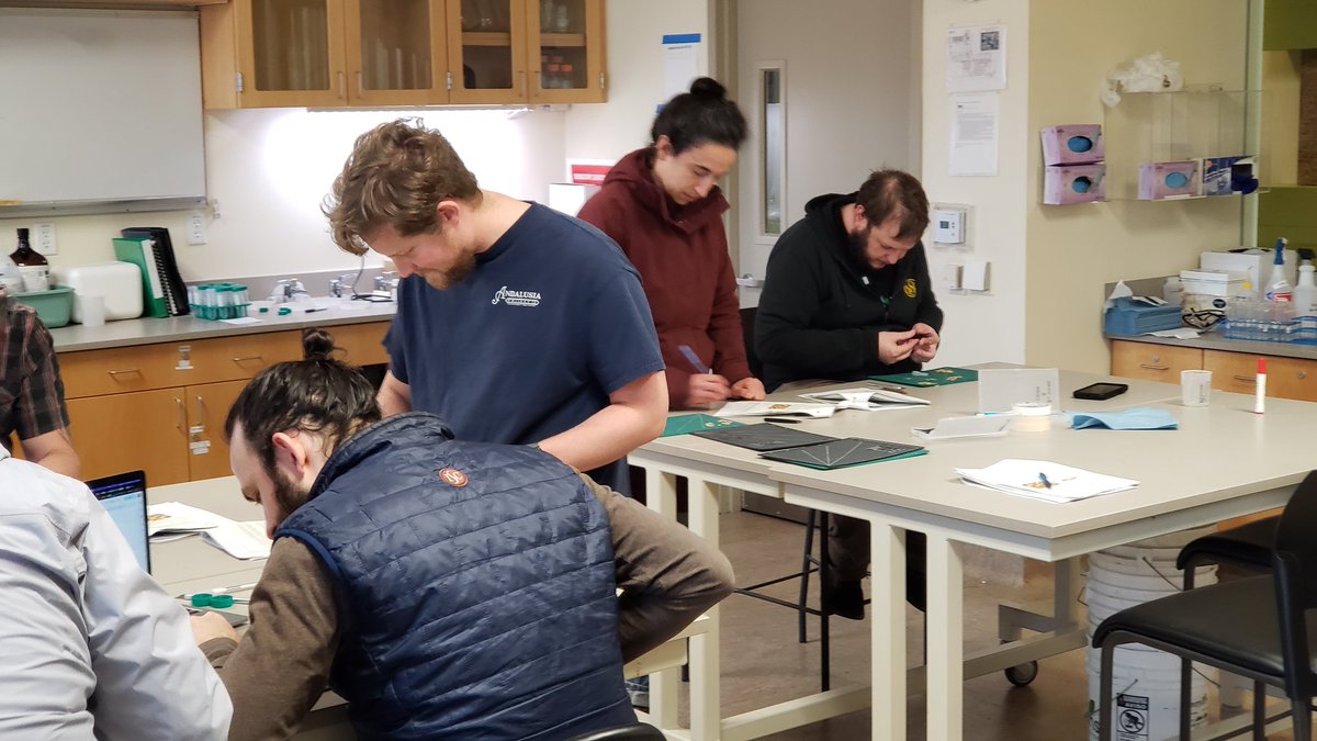 All hands-on doing germination counts for the Advanced Malting Course, just prior to @CraftMalting conference here at @ucdavis