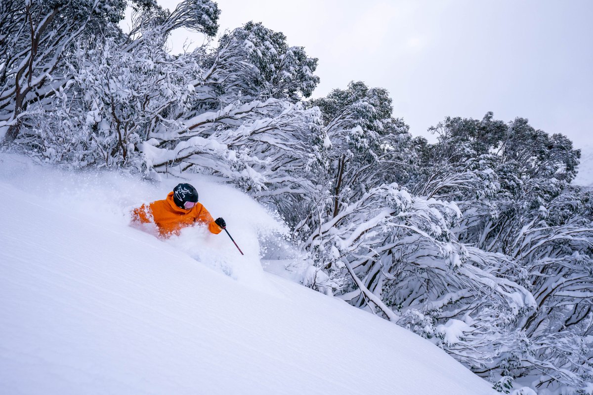 Is there anything better than Hotham on a pow day? Be ready to go whenever the snow falls with an Epic Australia Pass. With unlimited access to Hotham, Falls Creek & Perisher you'll never miss a pow day. Get in quick, only 3 days until prices rises. 👉 bit.ly/Hotham-EAP24