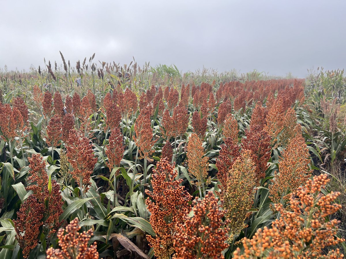 Sivakumar Sukumaran tweet media