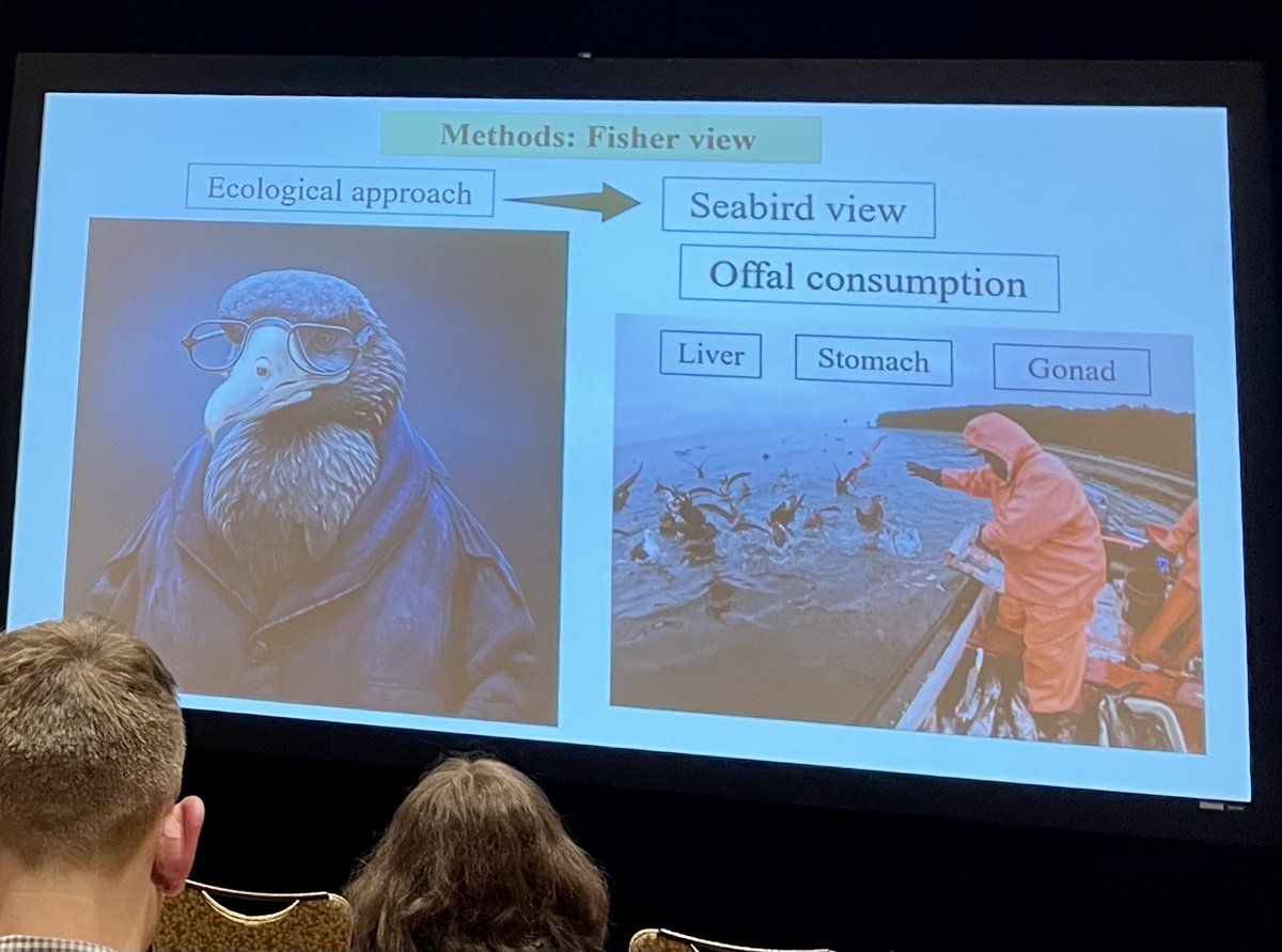 My favourite slide from today at @PacificSeabirds came in Jaime’s afternoon Plenary