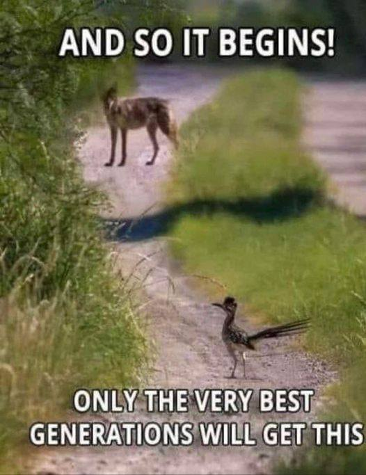 marewho12's tweet photo. 🤣🤣🤣🤣 https://t.co/xlAZIq0gjF