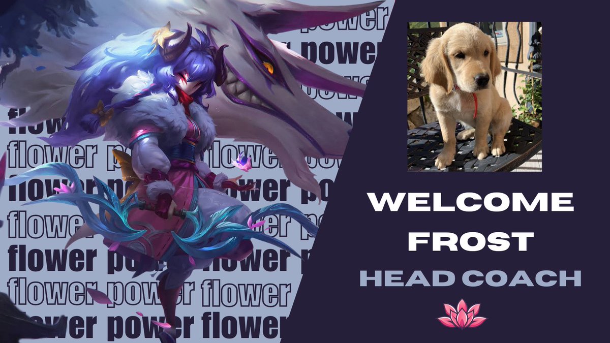 lotus_org's tweet photo. He's not the step-coach, he's the coach that stepped up. Welcome @FrostForestt as Lotus' new Head Coach! #bloomwithus #lotuswin https://t.co/eguxXN4JFE