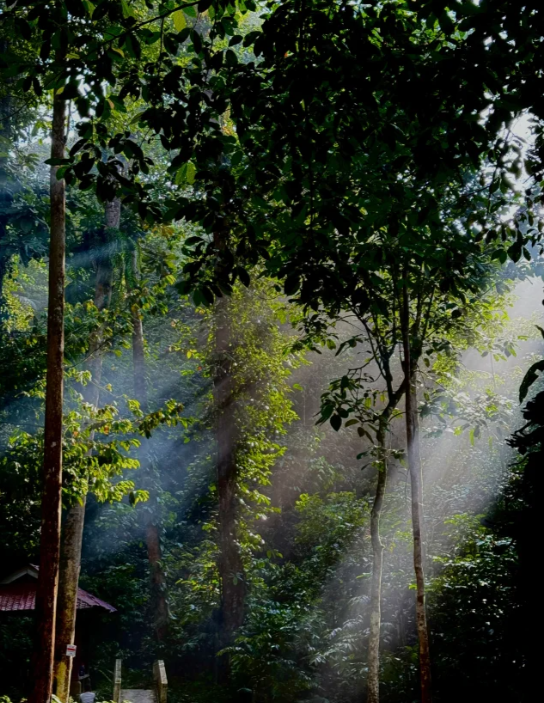 ひかり tweet media