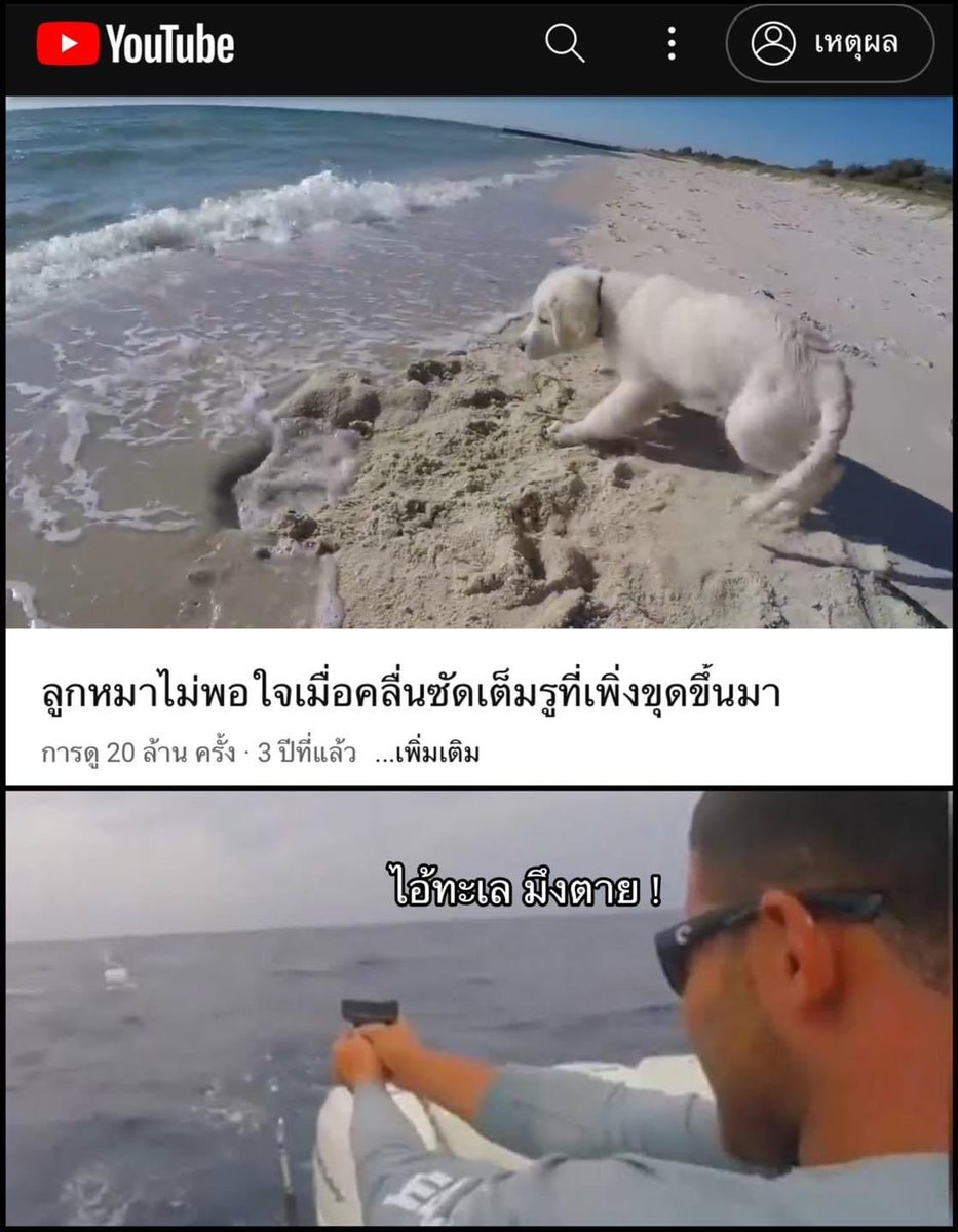 pompon (@shitercup) on Twitter photo 