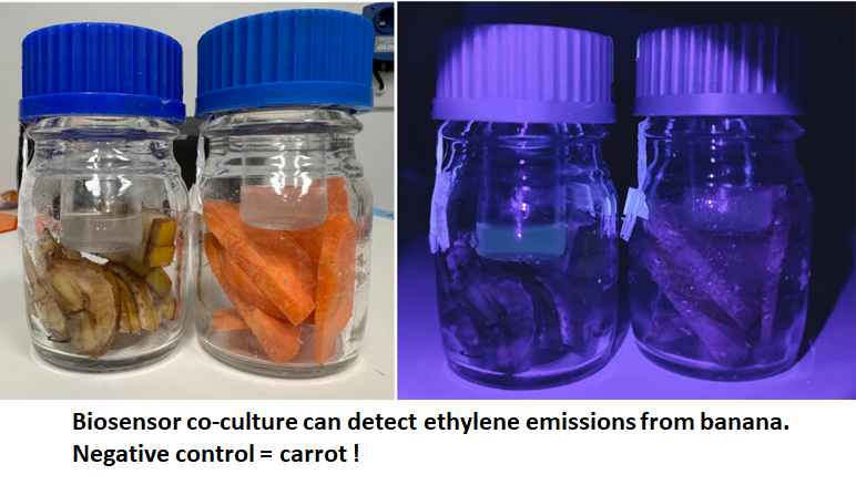 Nick Coleman tweet media