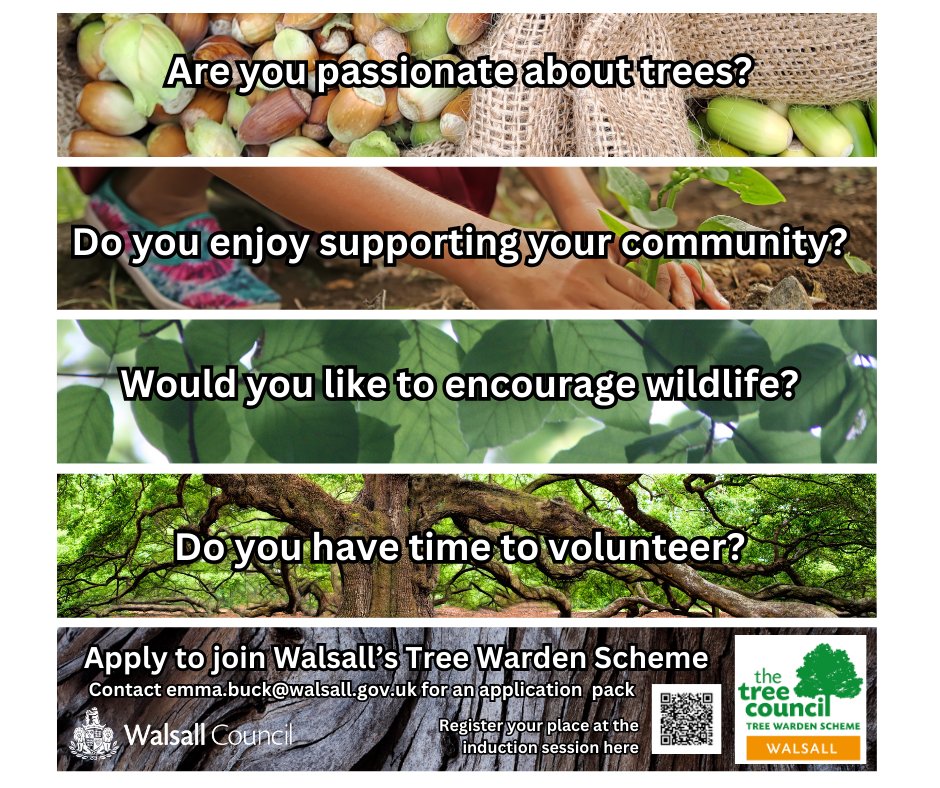HealthySpacesWC's tweet image. Join us as a Tree Warden!  Volunteer with Walsall Council&apos;s Healthy Spaces Team. Contact emma.buck@walsall.gov.uk for info. Next induction: April 24th, 11am – 2.30pm at Walsall Arboretum. Register free at tinyurl.com/y3rvzn9w #TreeWarden #Walsall 🌳✨