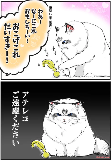 ていねいな ねこ 7
#猫 