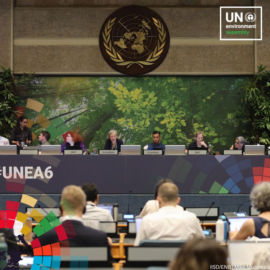 The Earth Negotiations Bulletin is covering the events leading up to and including #UNEA6 next week. Check the @IISD_ENB daily reports and stay updated on the action #ForPeopleForPlanet. enb.iisd.org/unea6-oecpr6