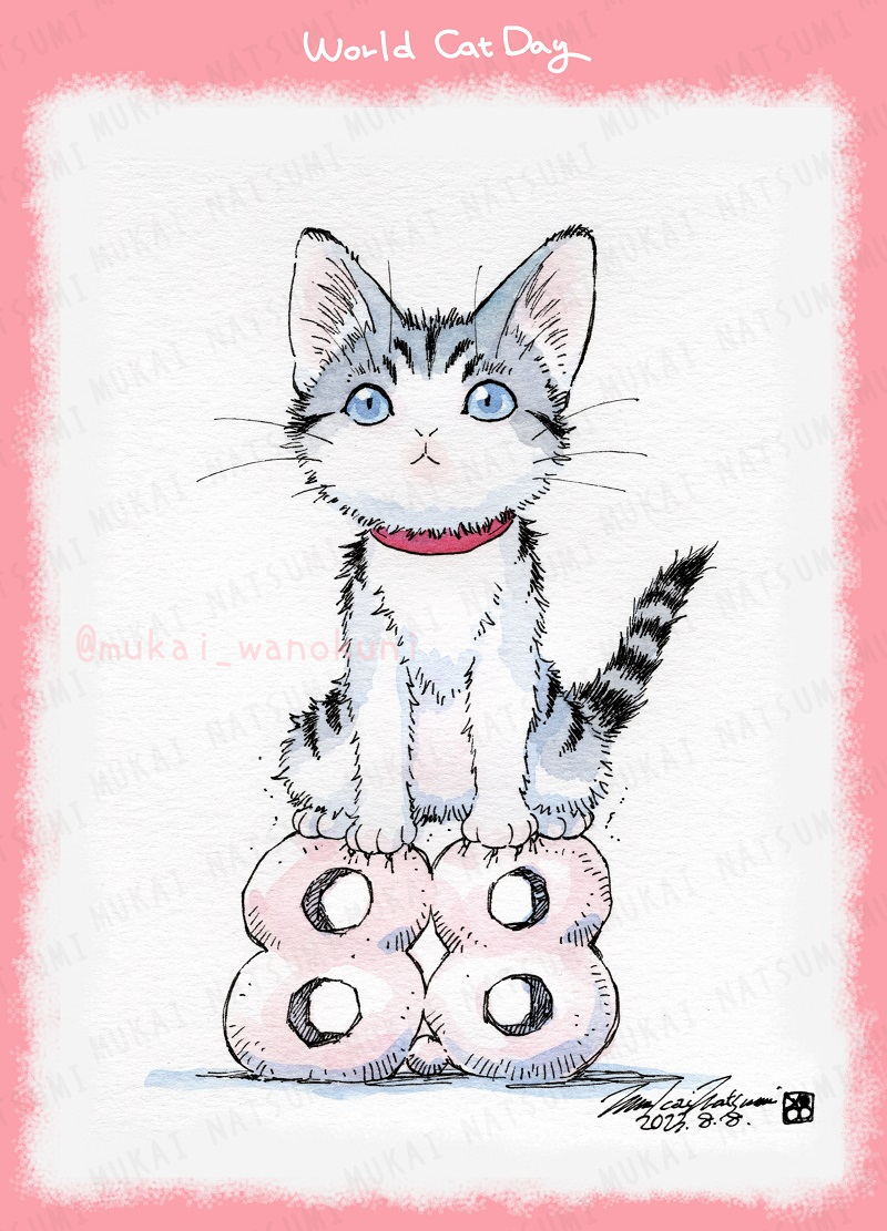 no humans cat animal focus blue eyes pink border looking at viewer white background  illustration images