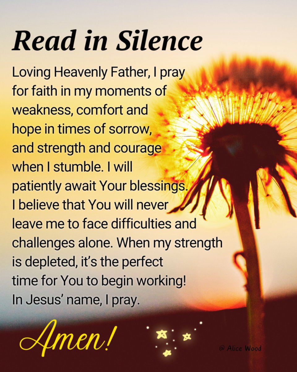 Alice Wood (@alicewood331) on Twitter photo 