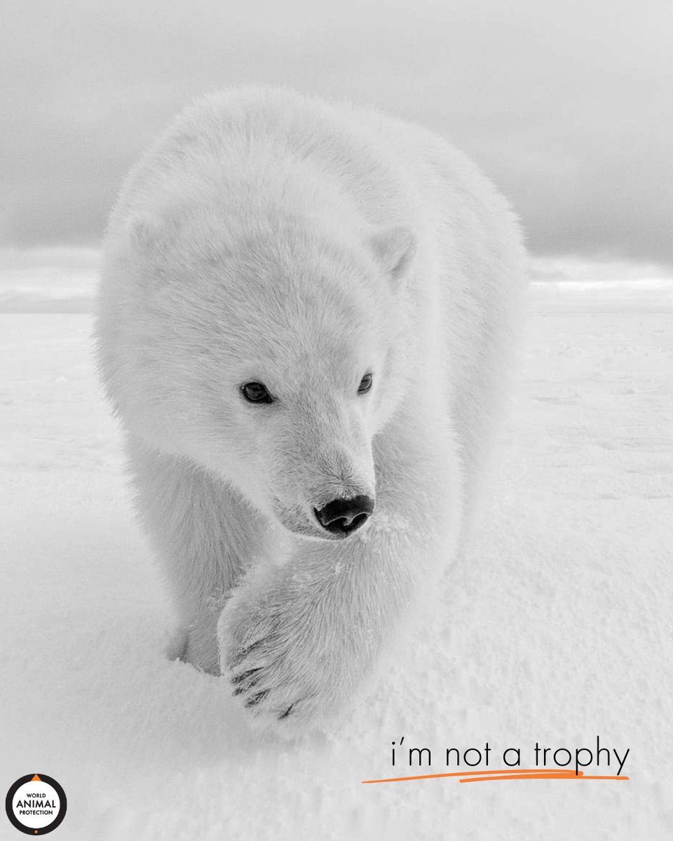 MoveTheWorldUS tweet picture