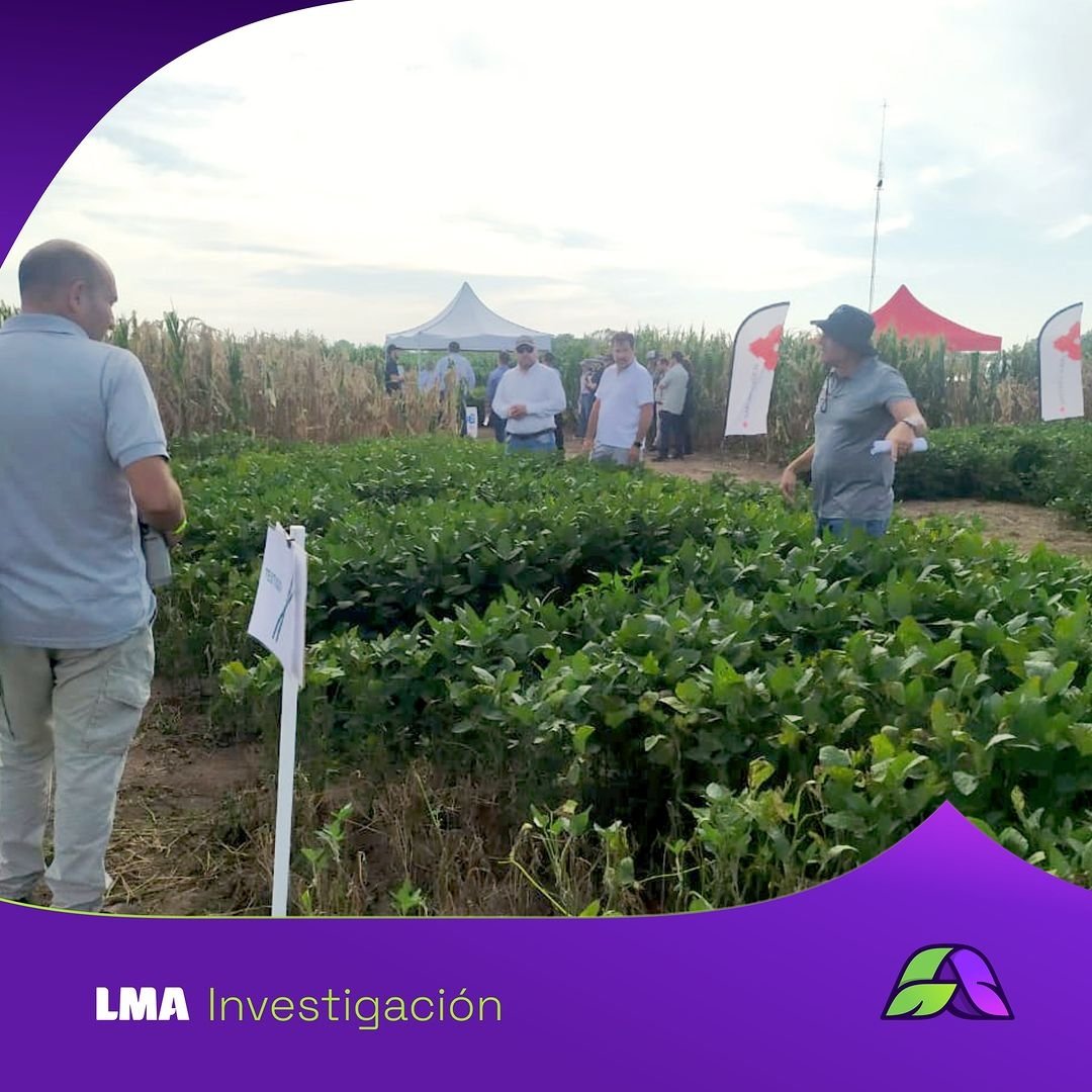 lma_agro's tweet photo. ¡Vivimos #EnBIO2024 a pleno! 🌱
📍 Realizamos ensayos para @UPLArgentina.
📍 Representamos a #RedConBIO de @AAPPCE.
📍 Recorrimos propuestas de diversas compañías.
Día completísimo 😁💯💪
#LabLMA #LMAasesora #LMAinvestiga https://t.co/gjGeqxnv4Y