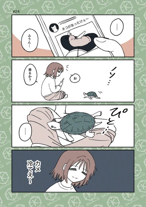 #猫の日 だそうで
猫と亀の比較シリーズ(?)再掲です🐈🐢 