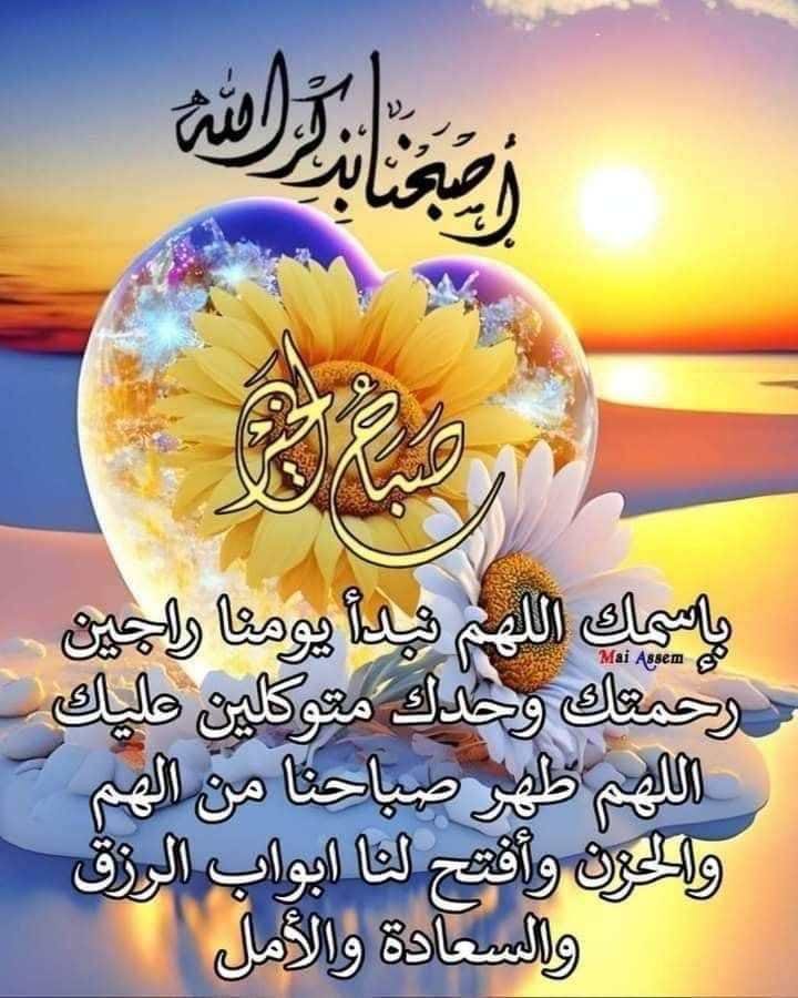 @HAMAD AL GHAILANIحمد الغيلاني (@hmd_hmd8667) on Twitter photo 