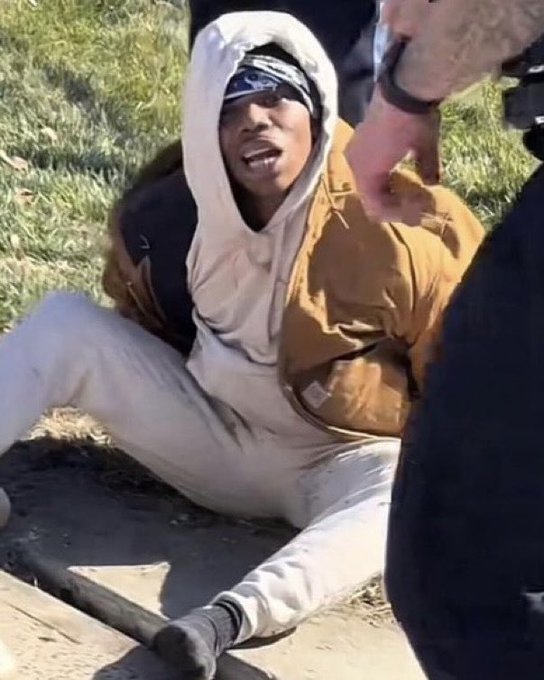 SnowflakeMelter tweet media