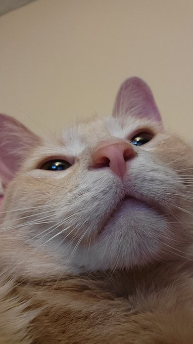 Wyd https://t.co/hgsr5gG3ea<a href="/tag/throne"class="tags"><span>#throne</span></a><a href="/tag/wishlist"class="tags"><span>#wishlist</span></a>