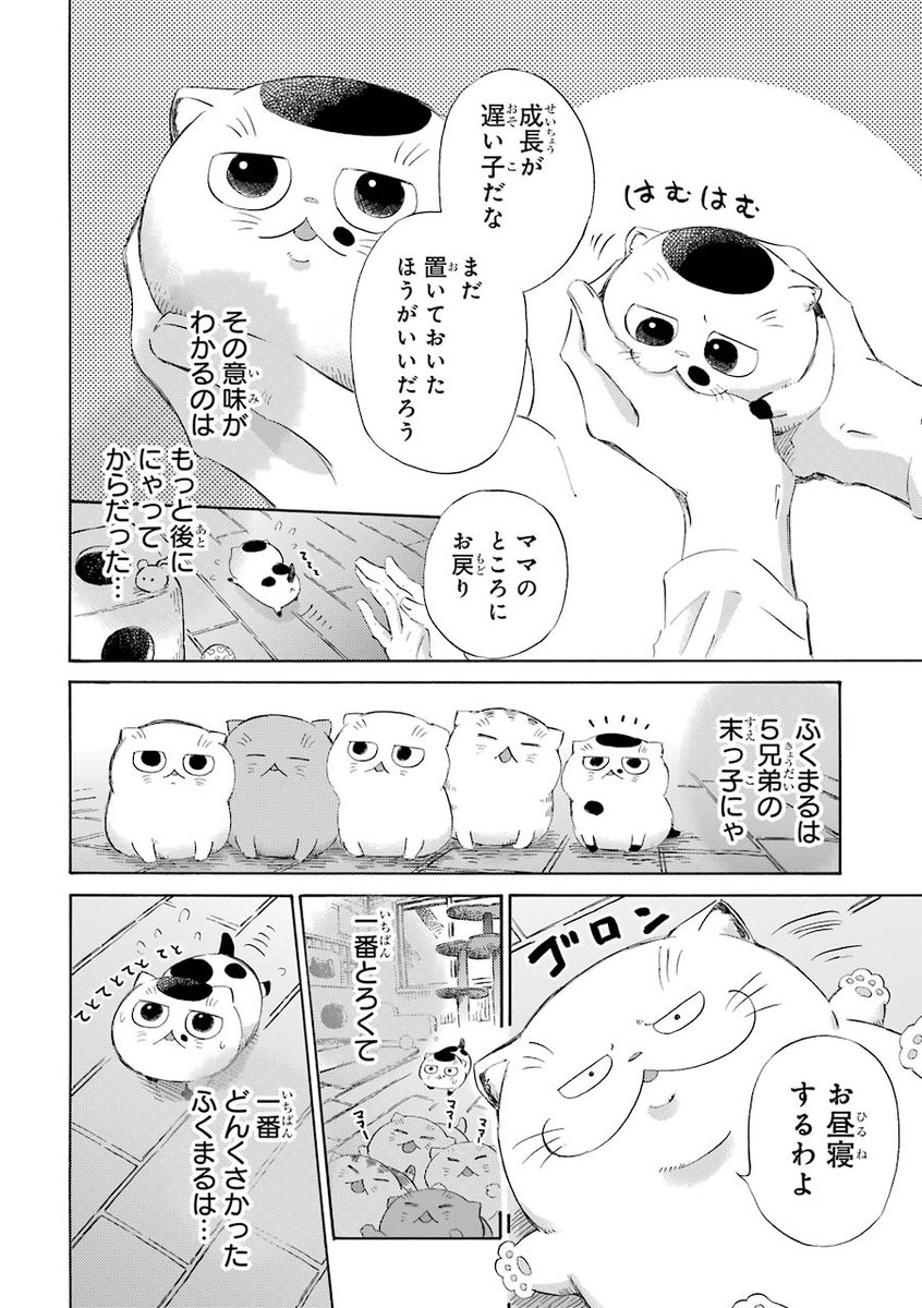 みんにゃ大好きにゃ猫のお話(1/4)
#猫の日
#漫画が読めるハッシュタグ 