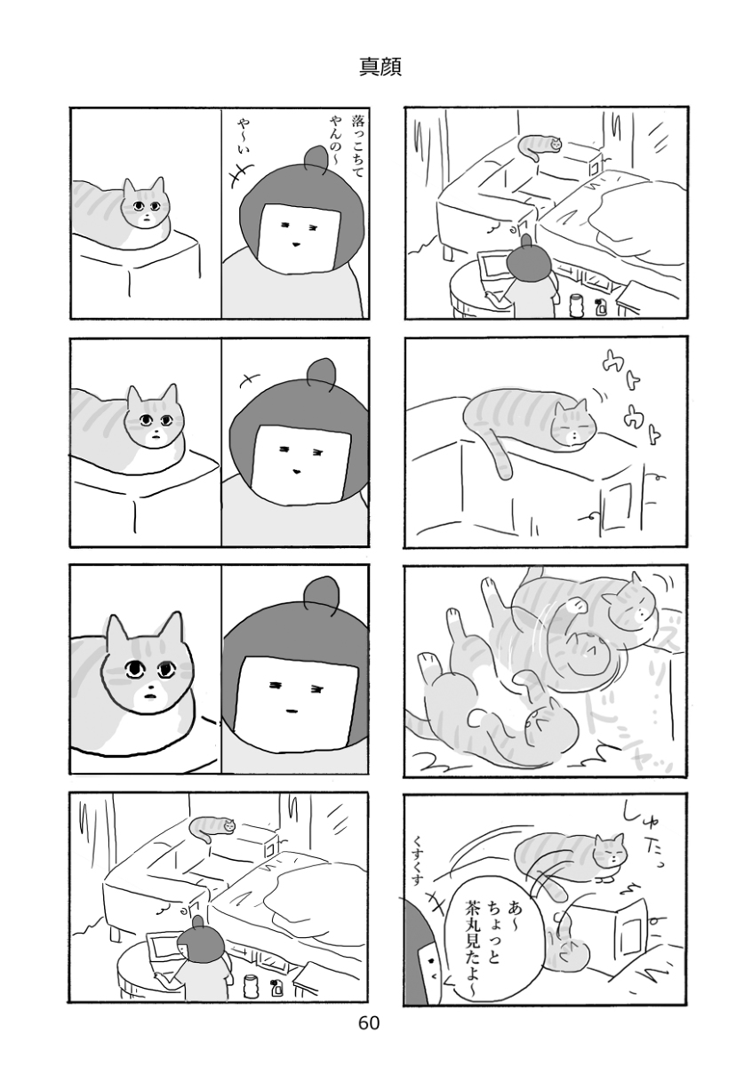 真顔(過去作)
#さくまのまんが

そういえば今日は猫の日だ!
ということで猫の漫画もあげておきます〜 
