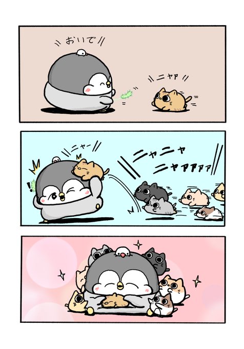 猫に癒されたペンギンのちゃんぺん | ペンギンの優しい世界-お腹すい汰
