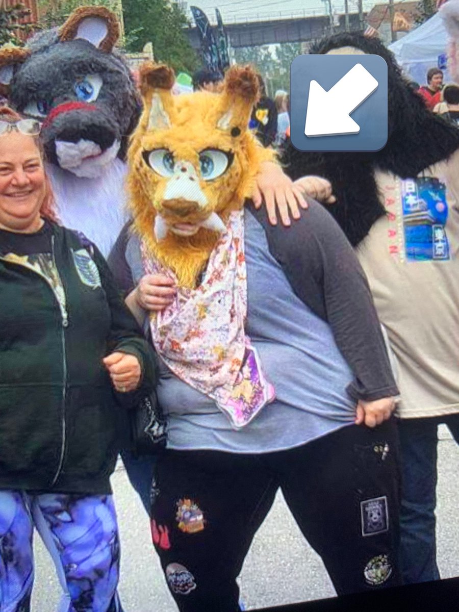 bratbIush's tweet photo. FURRY BEWARE: if you see this user please do not interact, or commission them for artwork. 

they are selling traced artwork on levels i have NEVER seen, and are profiting from the hard work of many artists. 

details ⬇️ https://t.co/t6CQex5NSH