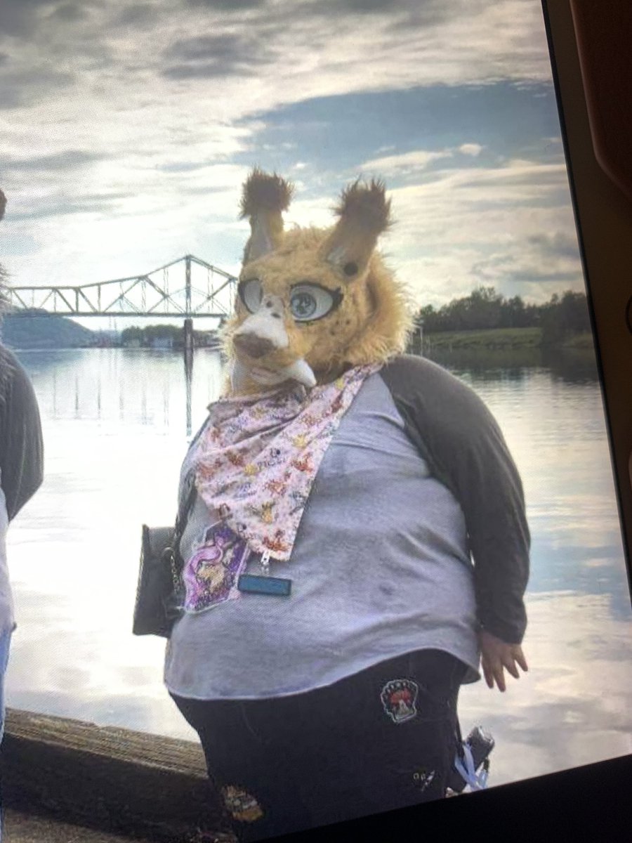 bratbIush's tweet photo. FURRY BEWARE: if you see this user please do not interact, or commission them for artwork. 

they are selling traced artwork on levels i have NEVER seen, and are profiting from the hard work of many artists. 

details ⬇️ https://t.co/t6CQex5NSH