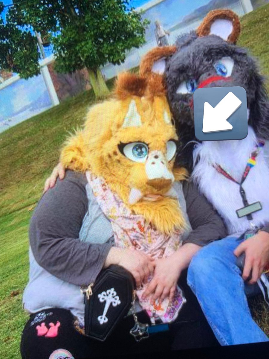 bratbIush's tweet photo. FURRY BEWARE: if you see this user please do not interact, or commission them for artwork. 

they are selling traced artwork on levels i have NEVER seen, and are profiting from the hard work of many artists. 

details ⬇️ https://t.co/t6CQex5NSH