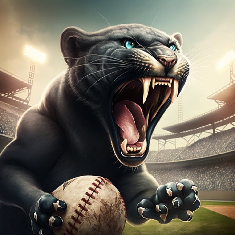 PHHSBaseballAZ tweet media