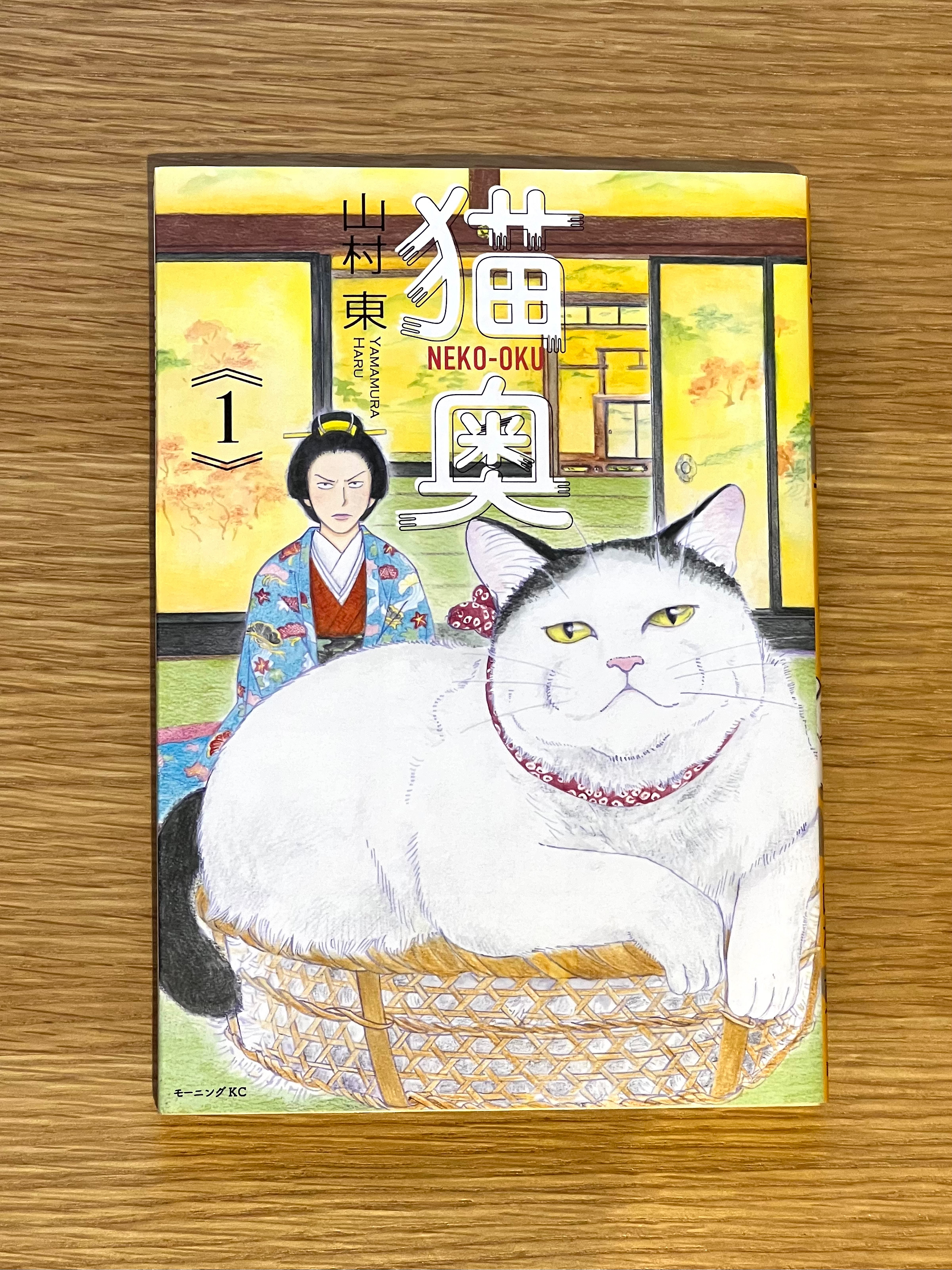 猫を抱く少女 Amazon.co.jp: 快楽天25周年記念展限定 Hisasi 少女のトゲ ちえ