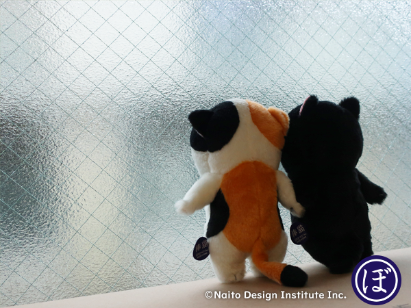 bou__cat's tweet photo. 今日は　#猫の日　雨だけどせっかくだから外に出たいな～ 、、、#ねこの日  #ぼうみたいなねこ　#にゃんにゃんにゃんの日 https://t.co/J0fEKnqilo