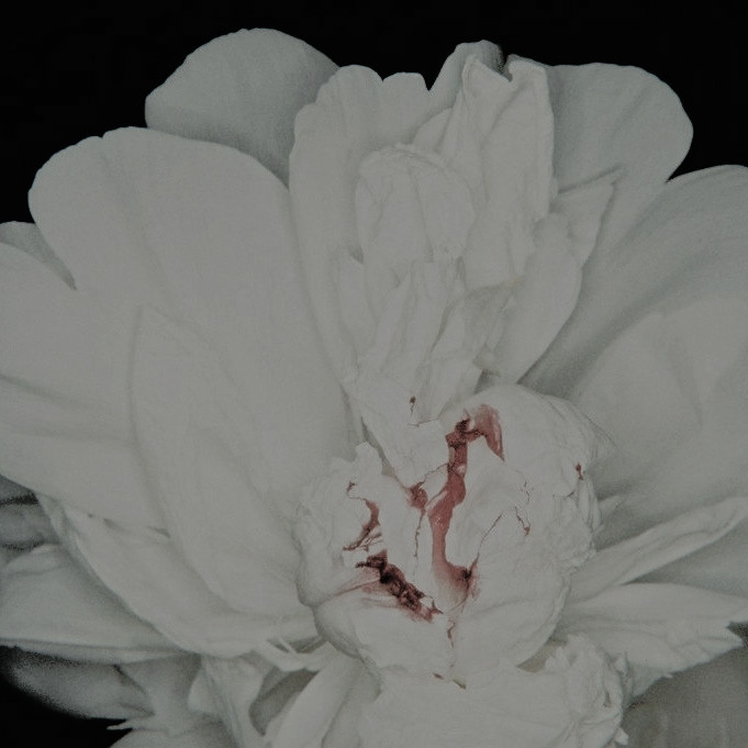 𝑱𝑎𝑠𝑜𝑛 𝑮𝑟𝑎𝑐𝑒.ᐟ (@w4itingr0_om) on Twitter photo 