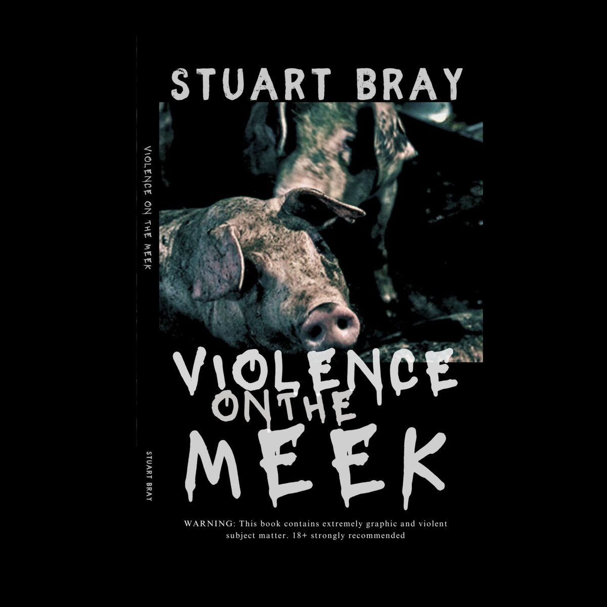 Stuart Bray tweet media