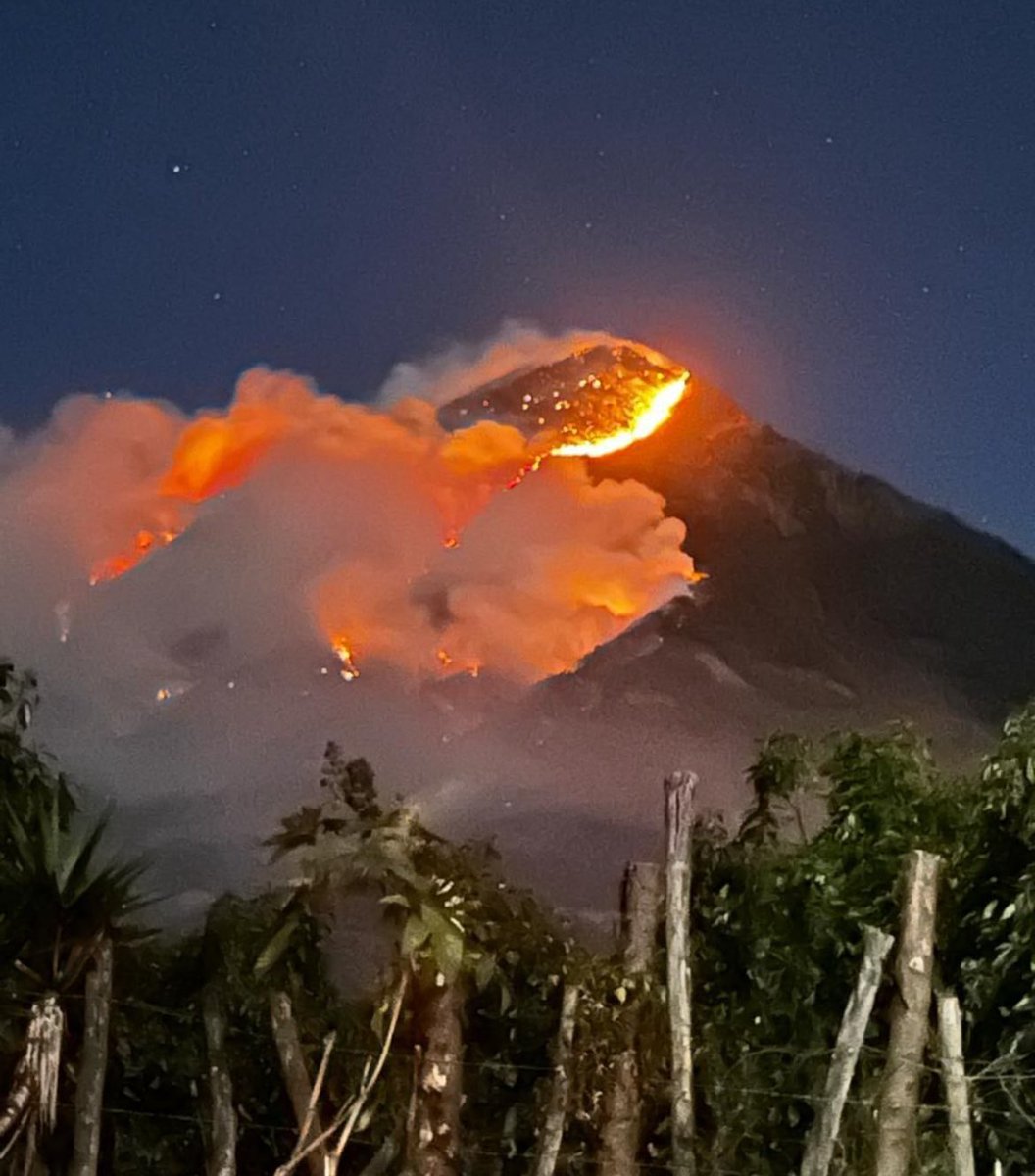 Mario Rosales tweet media