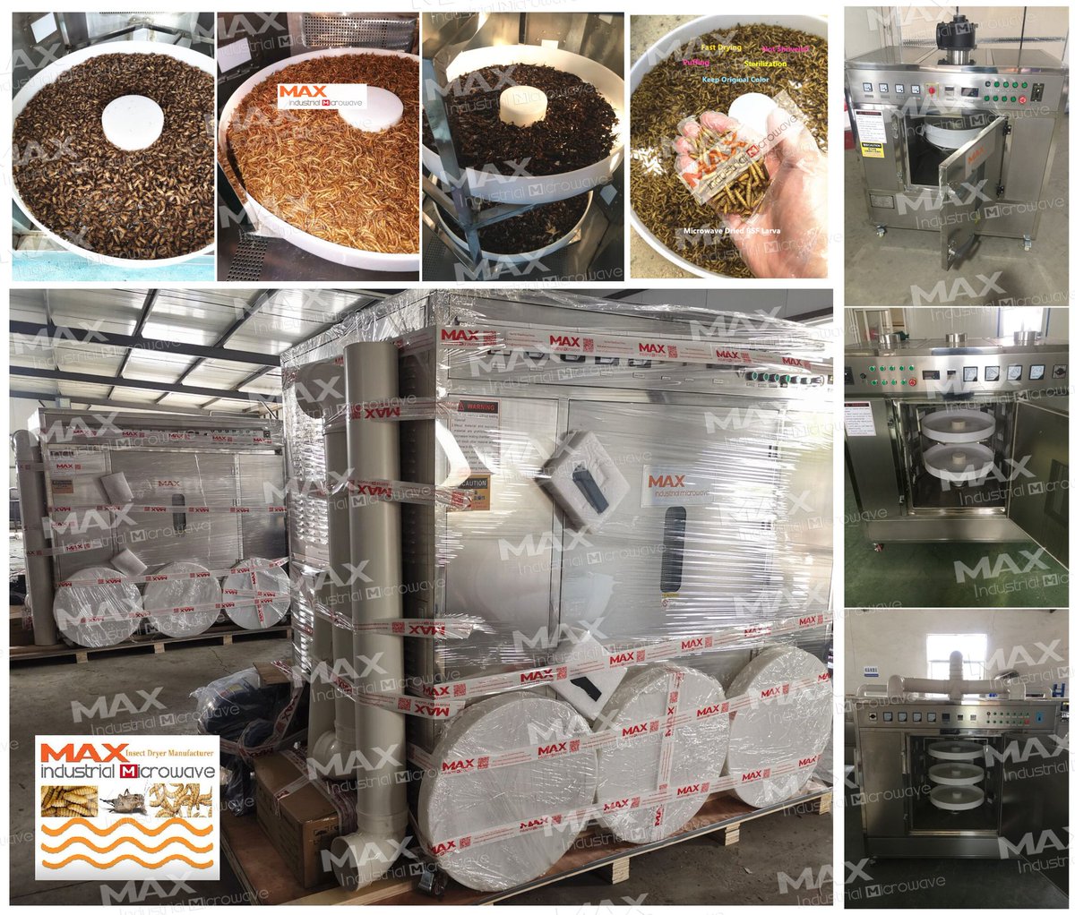 Feed/Edible Insects Microwave Drying and Sterilization Machine
maxindustrialmicrowave.com
#edibleinsects
#cricketfarm
#cricketflour
#mealworms
#superworms
#blacksoldierfly
#edibleinsect
#worms
#entomophagy
#sustainability
#insectfarm