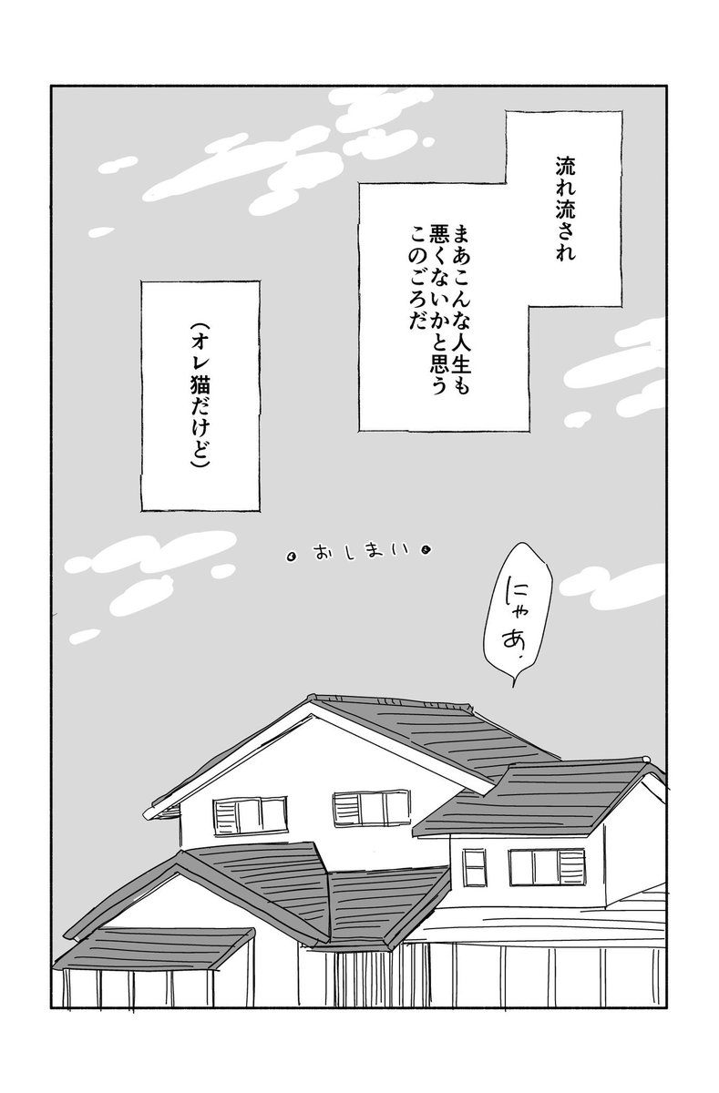 11/11 