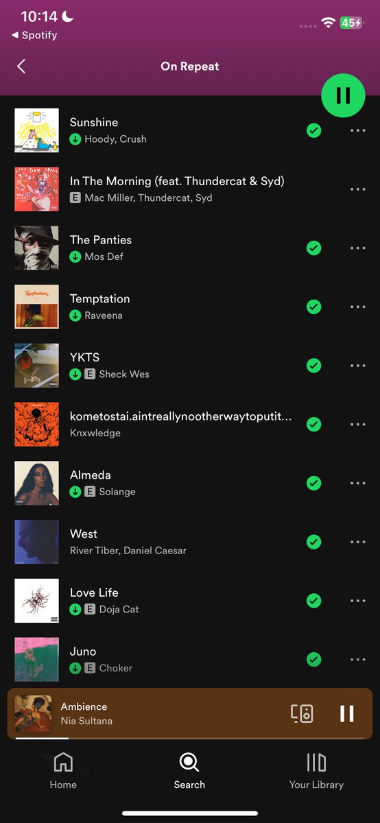 RisottosRoom's tweet image. me vs my on repeat