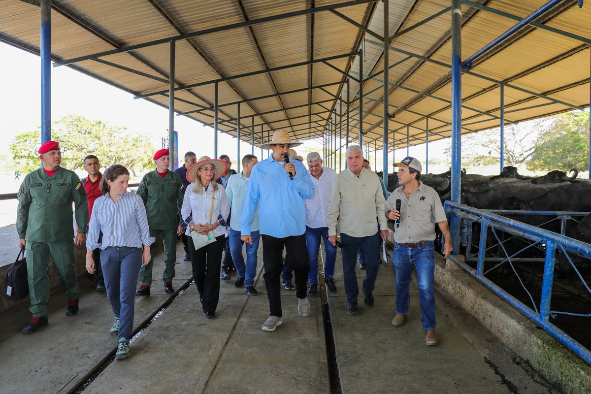 mippci_ven's tweet photo. #22Feb | 🇻🇪 📢 ¡ETIQUETA DEL DÍA 📷

#ProducirParaVencer

¡Vamos hacia el crecimiento productivo! https://t.co/MEwuATXxYj