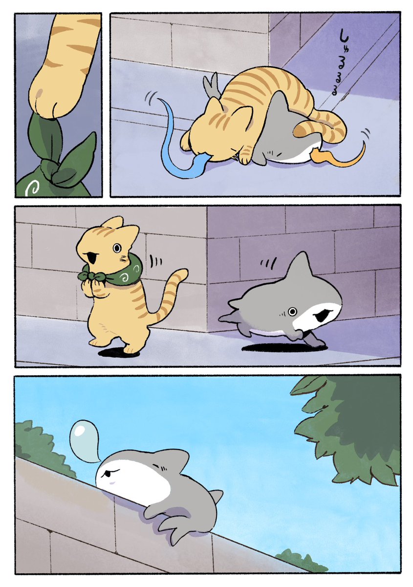子ザメといれかわり 1/2 #猫の日