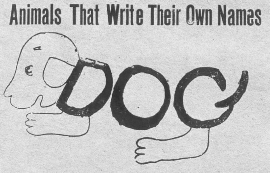 yesterdaysprint's tweet image. Lewiston Evening Journal, Maine, February 15, 1917