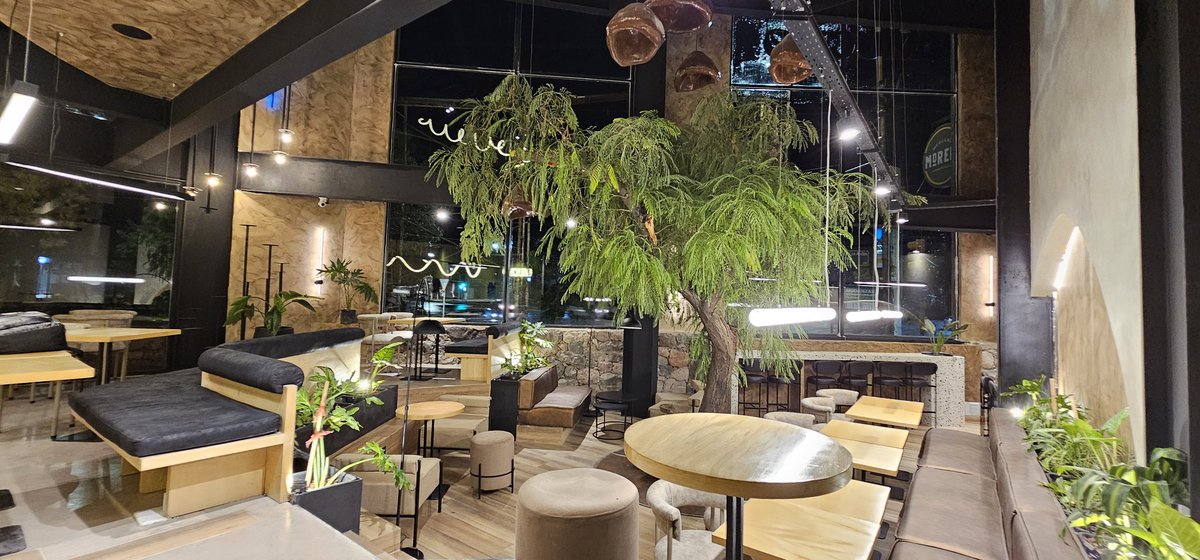 SebaCalvi's tweet photo. "La planta del café, que crece en crisis, y al terminar de crecer estará nuevamente en crisis, transita una permanente paradoja trágica de la naturaleza, que en tiempo críticos nos recuerda que la respuesta, siempre será crecer". De hace MUCHO, cuando escribía del café y la vida https://t.co/IjTVN3M6zG